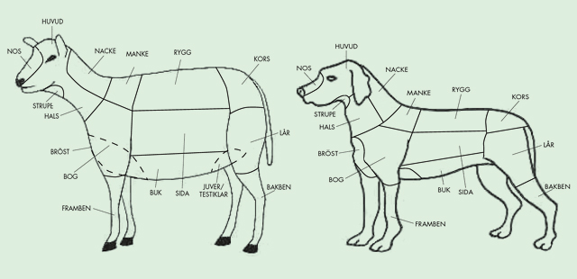 Schematisk bild över husdjurens kroppsdelar.