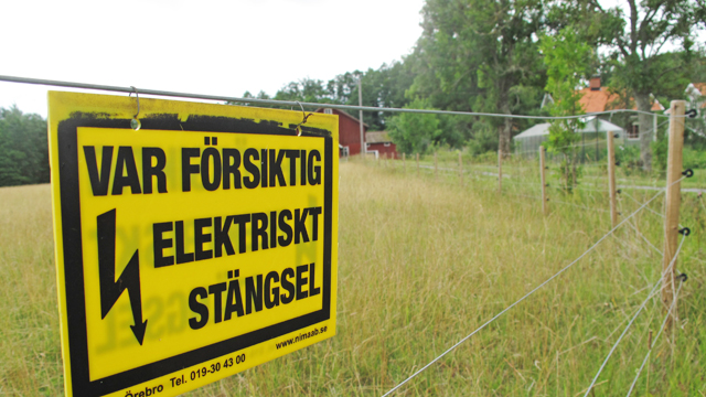 Rovdjursstängsel förändrar landskapet.