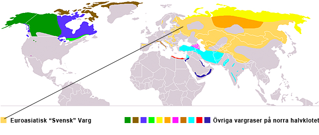 Utbredning euroasiatisk varg