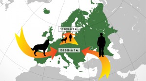 Varg och människa kom samtidigt till Europa.