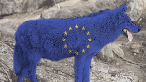 EU-varg