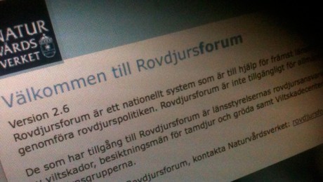 rovdjursforum_640px
