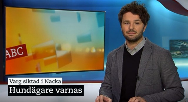 varg i nacka