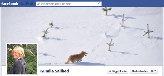 gunilla sallhed facebook sida