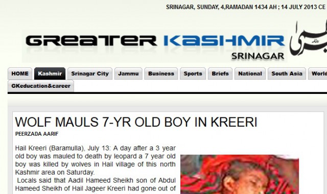 7-åring dödad av varg kashmir