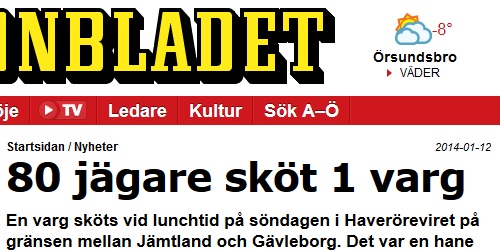 Osakligt om vargjakt från Aftonbladet