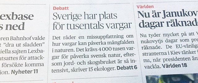 missvisande rubrik om varg i dagens nyheter