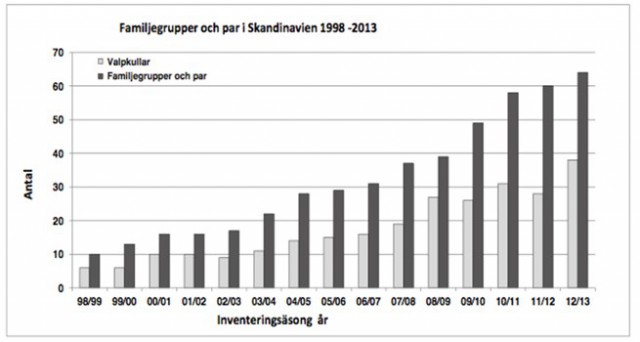 Vargstammens utveckling -2013