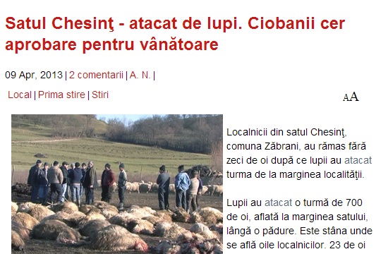 23 får vargdödade vid vargangrepp i Rumänien