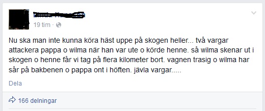 två vargar jagar häst med vagn